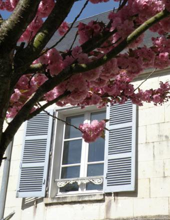 La Closerie Saint Jacques Loches Dış mekan fotoğraf